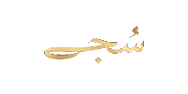 تجارب سجى